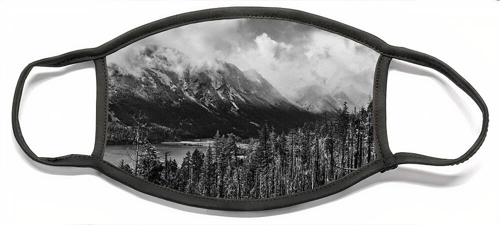 National Face Mask featuring the photograph Wenatchee National Forest Black and White by Pelo Blanco Photo