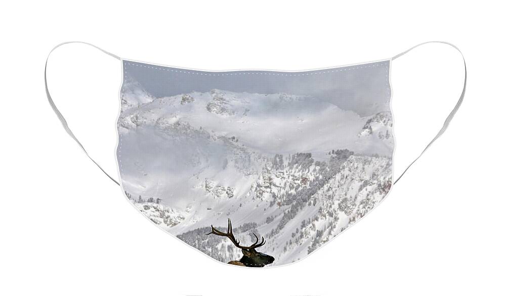 Elk Face Mask featuring the photograph What a View by Ronnie And Frances Howard