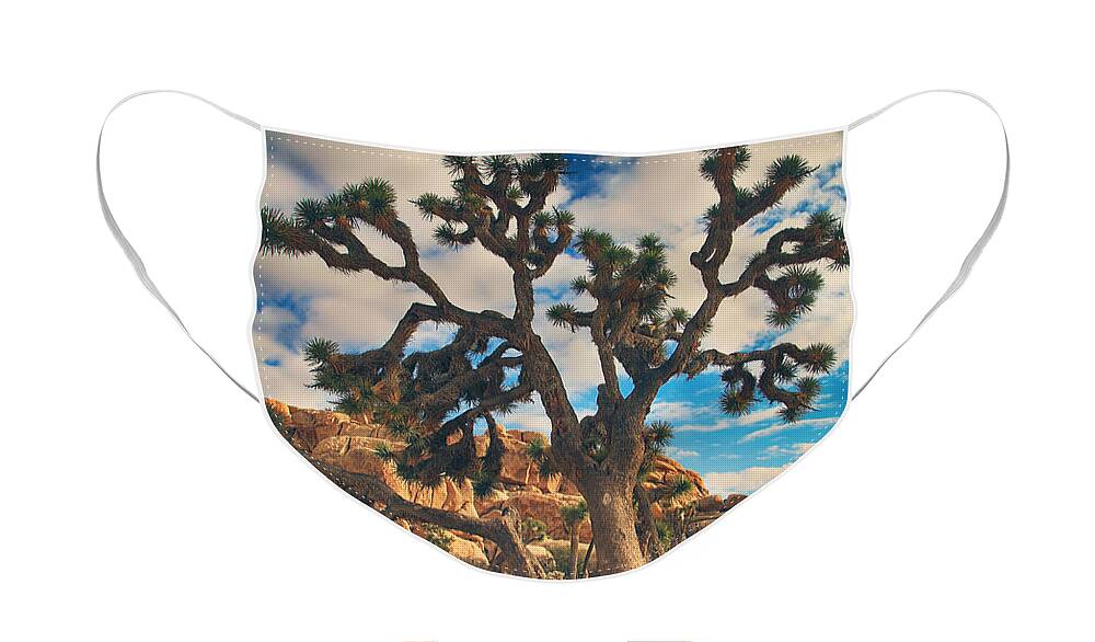Joshua Tree National Park Face Mask featuring the photograph What I Wouldn't Give by Laurie Search