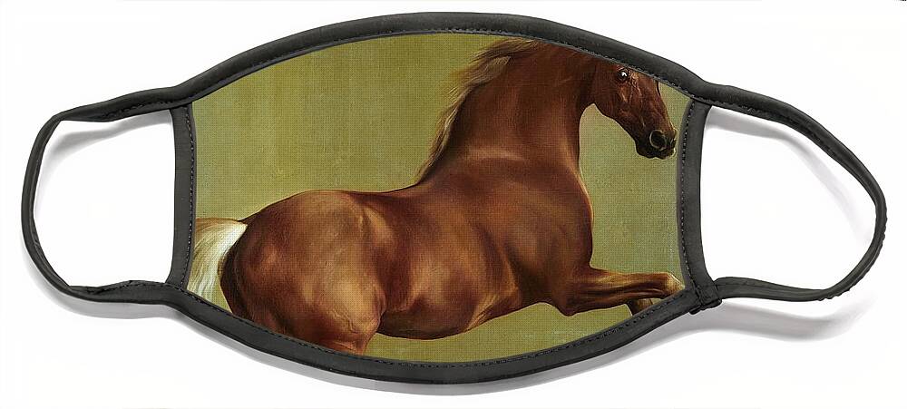 Whistlejacket Face Mask featuring the painting Whistlejacket by George Stubbs