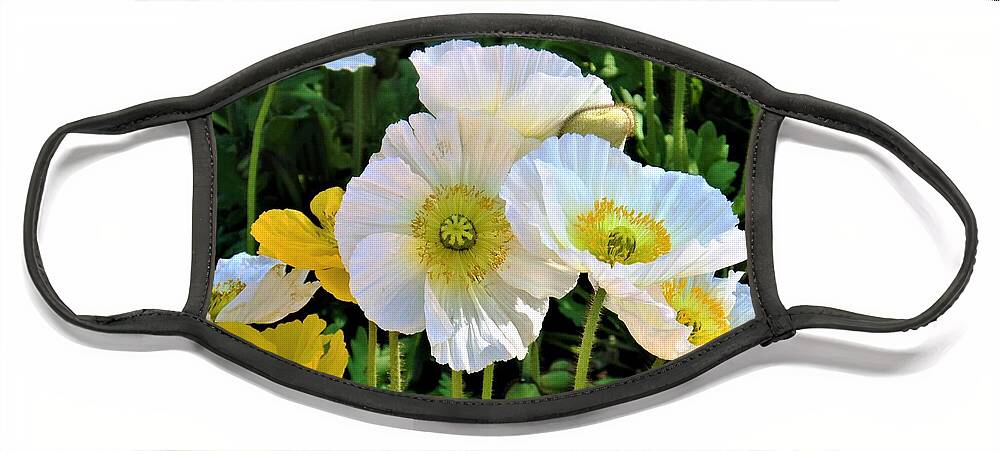 Flowers Face Mask featuring the photograph White Floriade Flowers by Yolanda Caporn