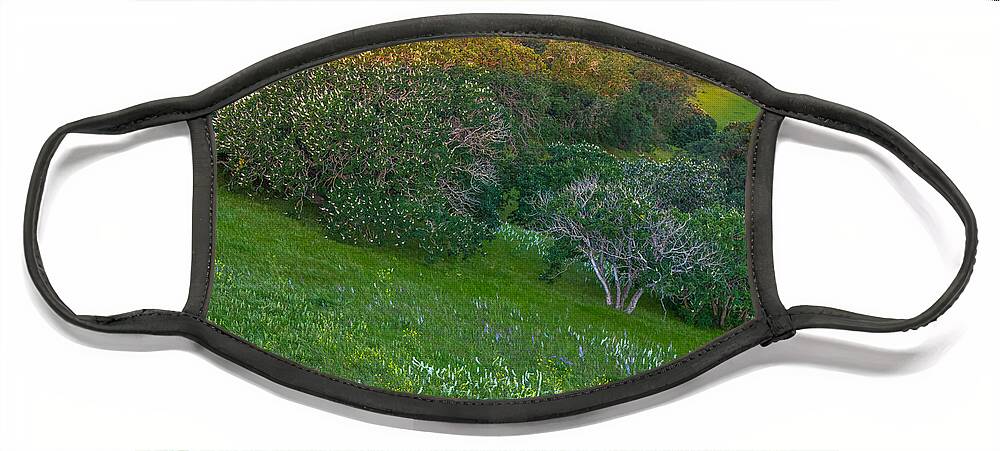 Landscape Face Mask featuring the photograph White Lupine and Buckeye by Marc Crumpler