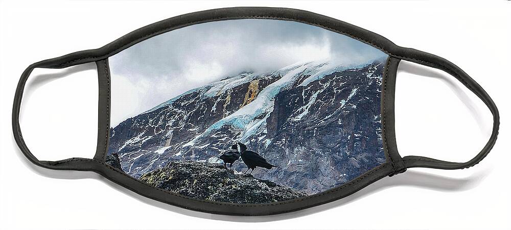 Africa Face Mask featuring the photograph White-Necked Raven Pair under Kilimanjaro Summit Glacier by Jeff at JSJ Photography