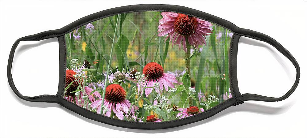 Wild Flowers Face Mask featuring the photograph Wild Coneflowers by Paula Guttilla