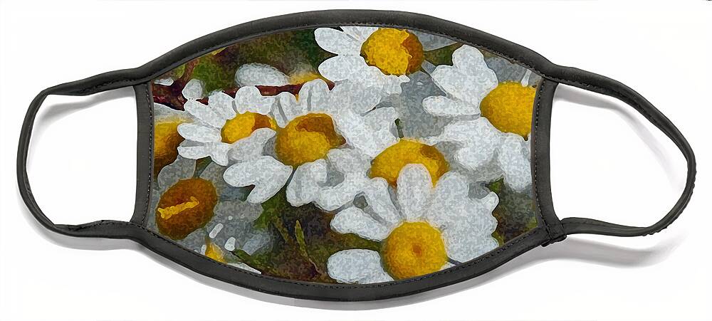 Daisies Face Mask featuring the photograph Wild Daisies II by Carol Eliassen