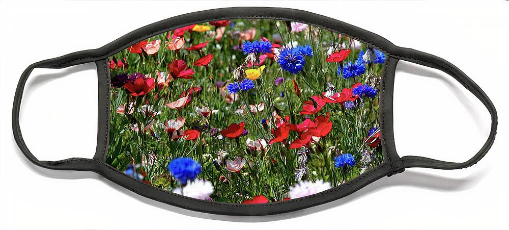 Flowers Face Mask featuring the photograph Wild Flower Meadow 2 by Baggieoldboy