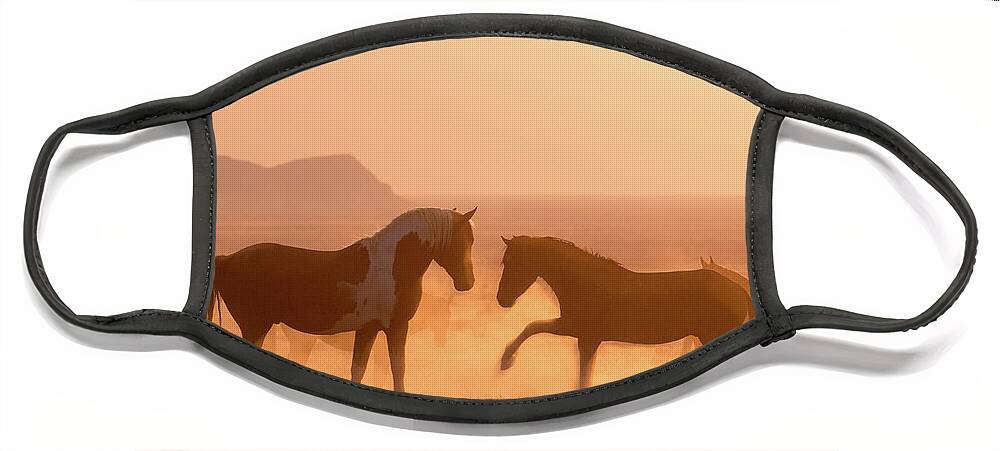 Horse Face Mask featuring the photograph Wild Horse Glow by Wesley Aston