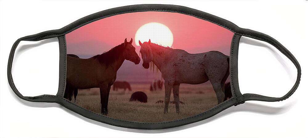Wild Horse Face Mask featuring the photograph Wild Horse Sunset by Wesley Aston