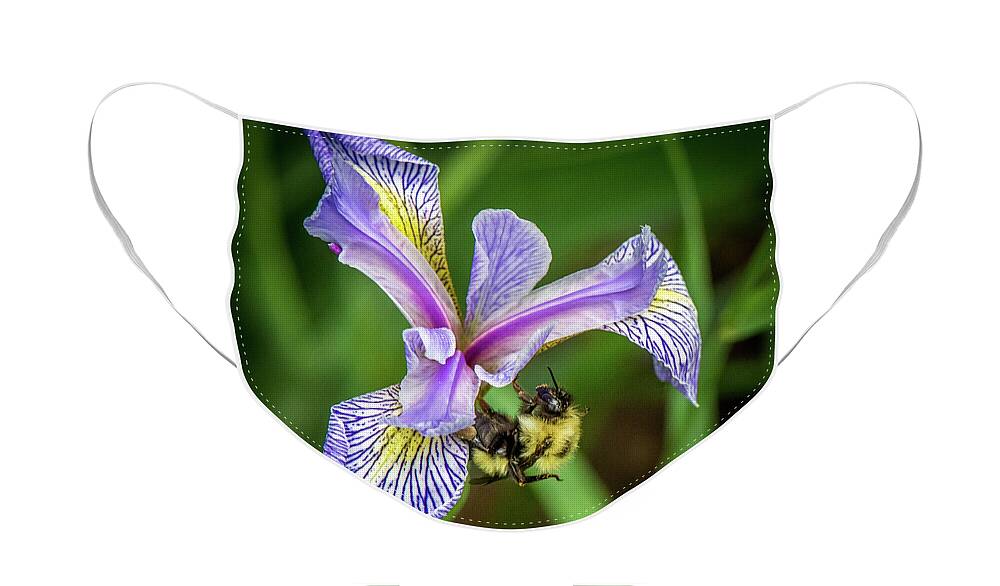 Wild Iris Face Mask featuring the photograph Wild Iris With Bee by Paul Freidlund