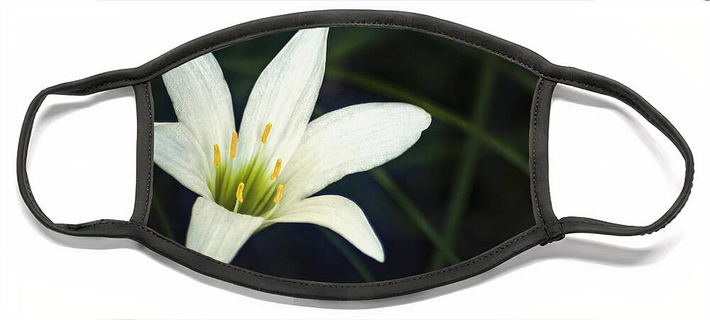 Lily Face Mask featuring the photograph Wild Lily by Carolyn Marshall