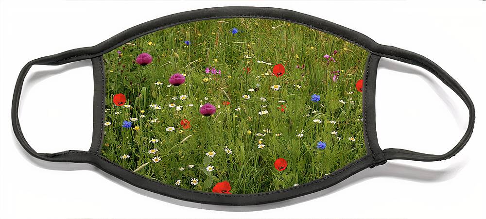 Summer Face Mask featuring the photograph Wild Summer Meadow by Baggieoldboy