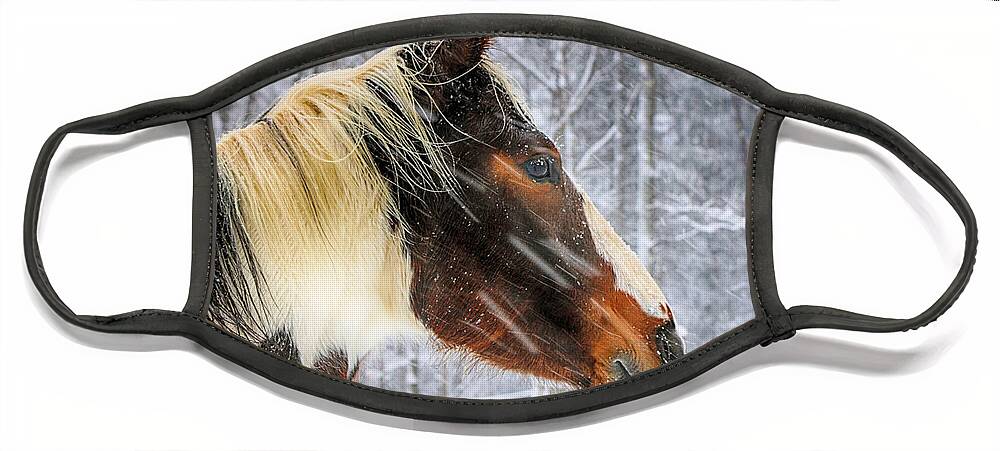 Horse Face Mask featuring the photograph Wild Winter Storm by Elizabeth Dow