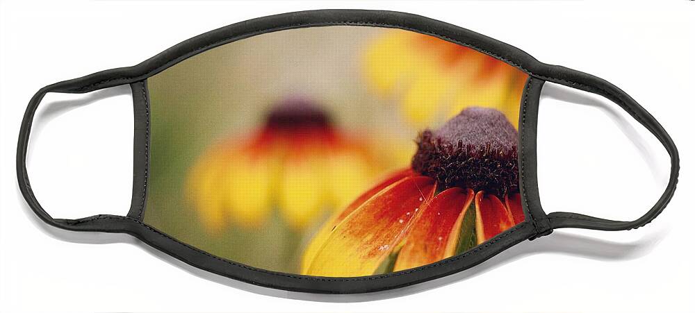 Wildflowers Face Mask featuring the photograph Wildfire Wildflowers by Holly Ross