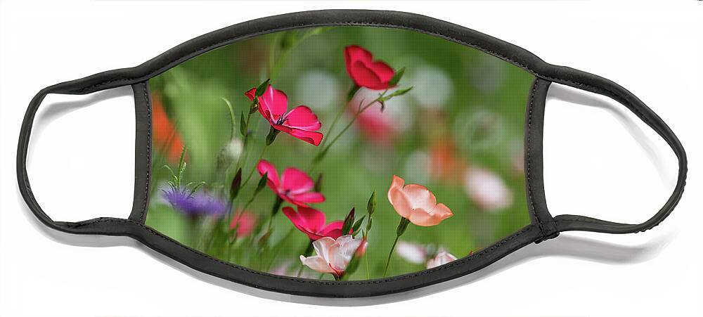 Summer Face Mask featuring the photograph Wildflowers Meadow by Eva Lechner