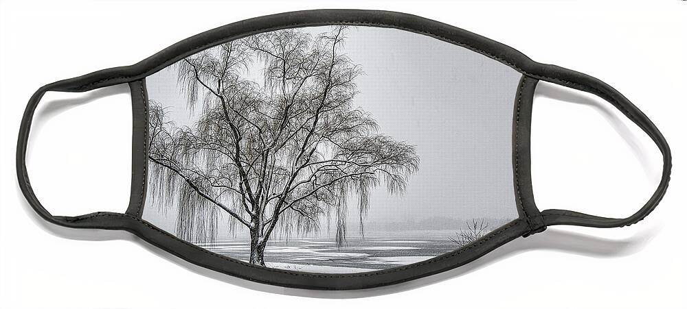 Willow Face Mask featuring the photograph Willow in Blizzard by Erika Fawcett