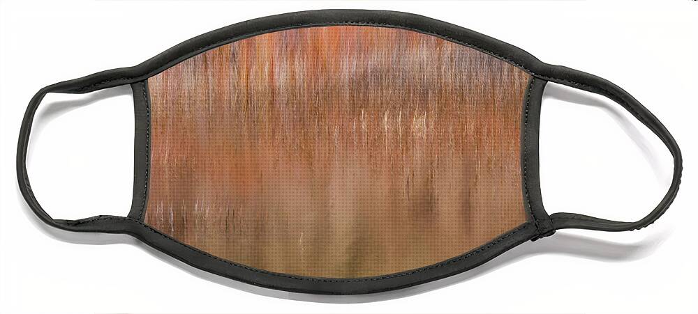 The Vibrance Of Willow Bark In Winter Draws Me To The Edges Of Creeks Face Mask featuring the photograph Willows And Reeds Along Dugout Pond by Deborah Hughes