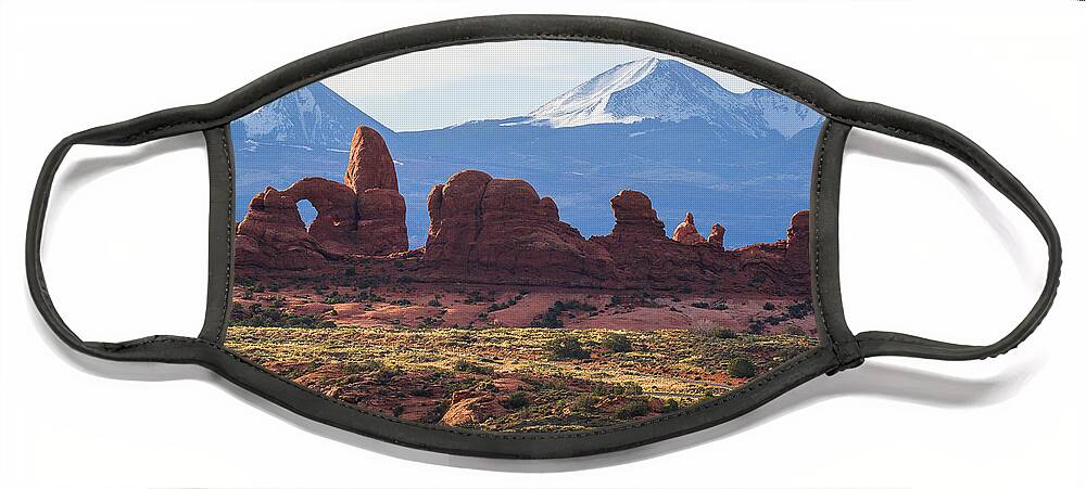 Utah Face Mask featuring the photograph Wing Window by Jim Garrison