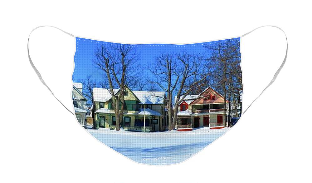 Thousand Islands Face Mask featuring the photograph Winter at TI Park by Dennis McCarthy