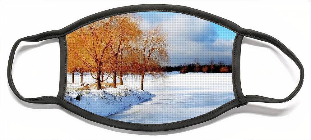 Snow Face Mask featuring the photograph Winter Beauty by Peggy Dietz