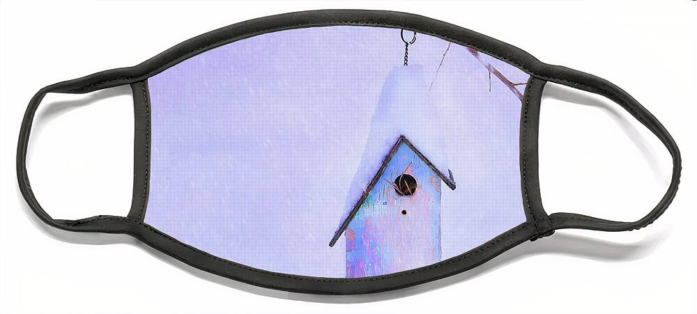 Birdhouse Face Mask featuring the photograph Winter Birdhouse by Theresa Tahara