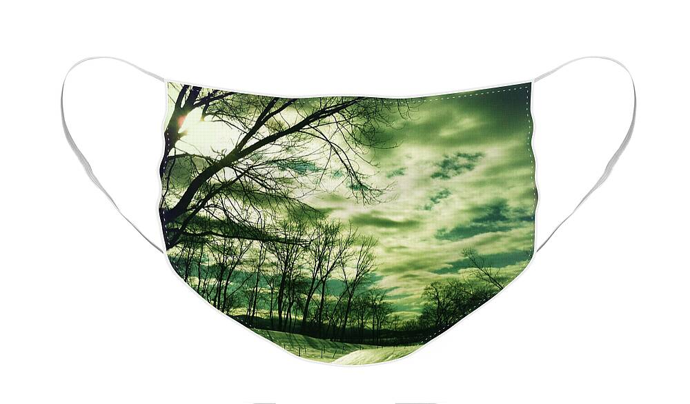 Landscape Face Mask featuring the photograph Winter Green by Onedayoneimage Photography