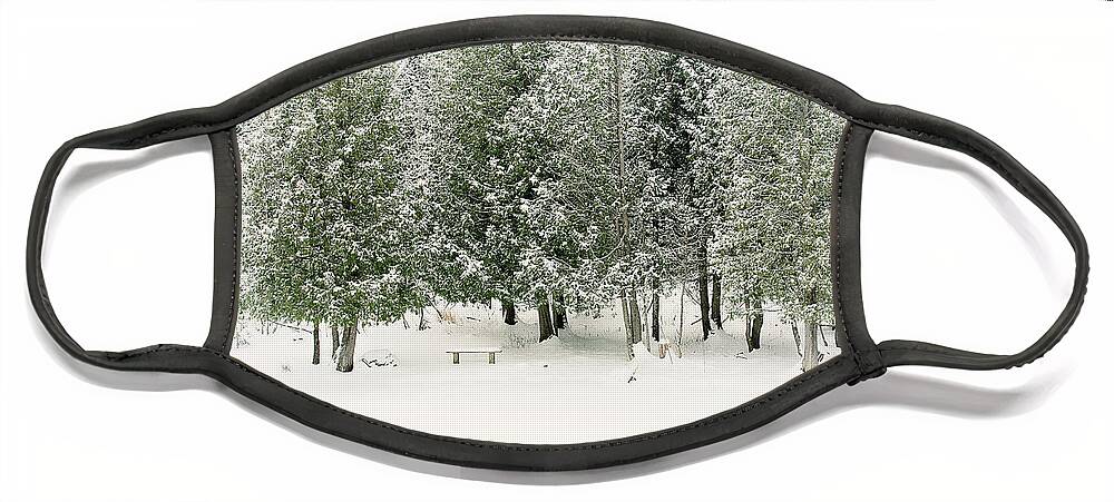 Winter Ice Storm Print Face Mask featuring the photograph Winter Ice Storm Print by Gwen Gibson