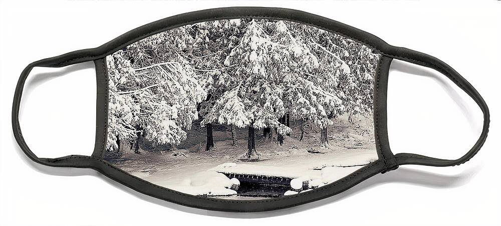 Winter Scenic Print Face Mask featuring the photograph Winter Scene Black and White Print by Gwen Gibson