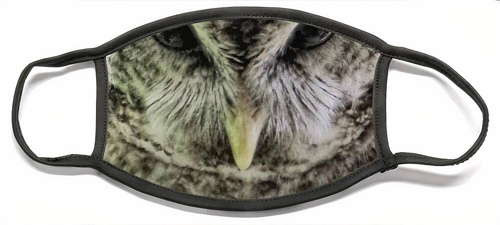 Owl Face Mask featuring the photograph Winter by Stoney Lawrentz