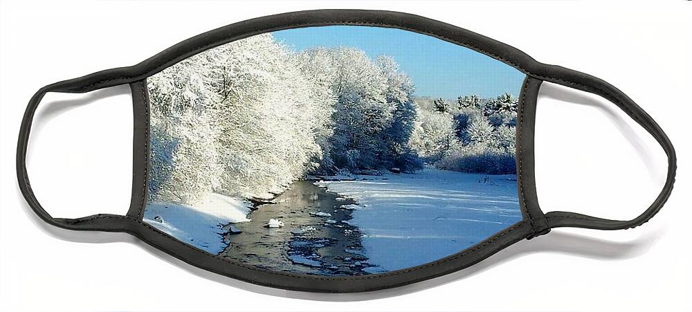 Winter Face Mask featuring the photograph Winter Stream by Dani McEvoy