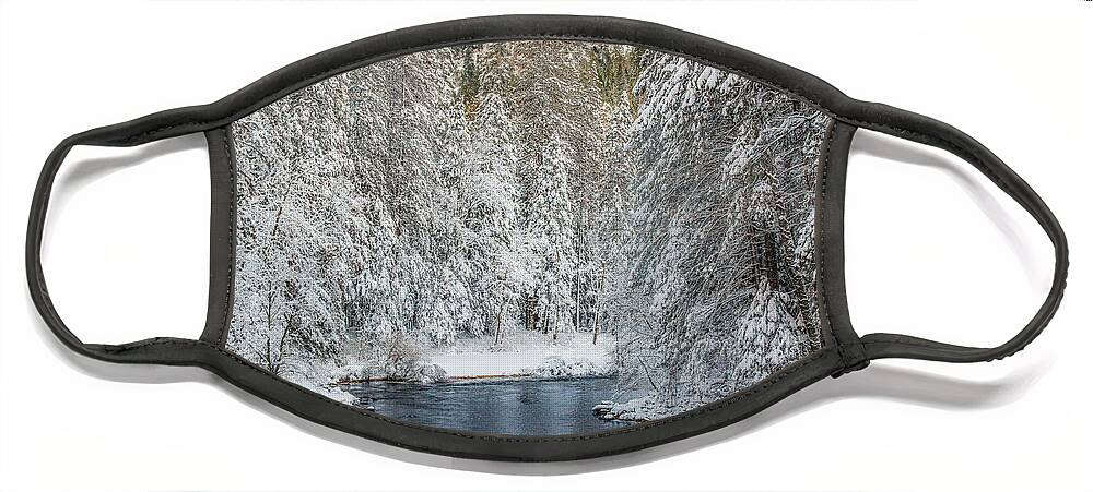 Beauty Face Mask featuring the photograph Winter Stream by Susan Eileen Evans