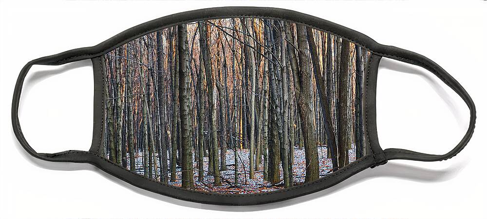 Tree Face Mask featuring the photograph Winter - UW Arboretum Madison Wisconsin by Steven Ralser