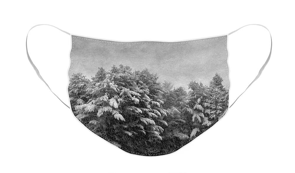 Maine Face Mask featuring the photograph Winter Vintage by Karin Pinkham