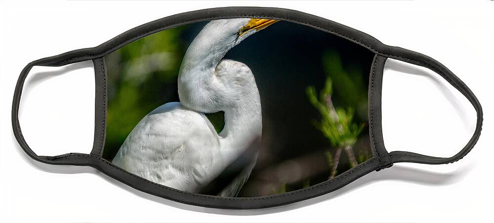 Christopher Holmes Photography Face Mask featuring the photograph White Egret 2 by Christopher Holmes