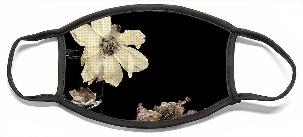 Blossom Face Mask featuring the photograph Wither Dahlia Flowers on a black background by Michalakis Ppalis