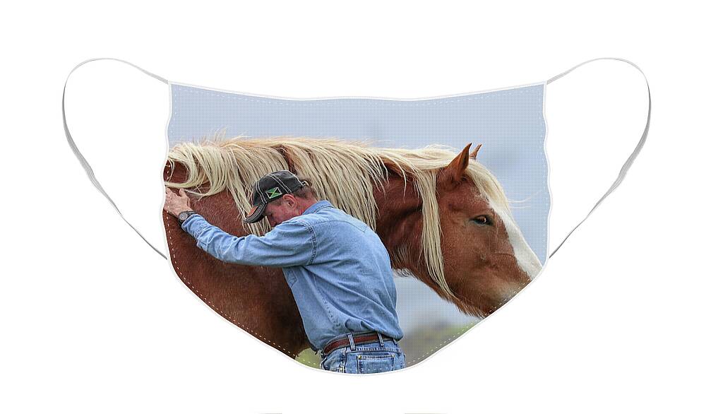 Wrangler Jeans Face Mask featuring the photograph Wrangler Jeans and Belgian Horse by Robert Bellomy