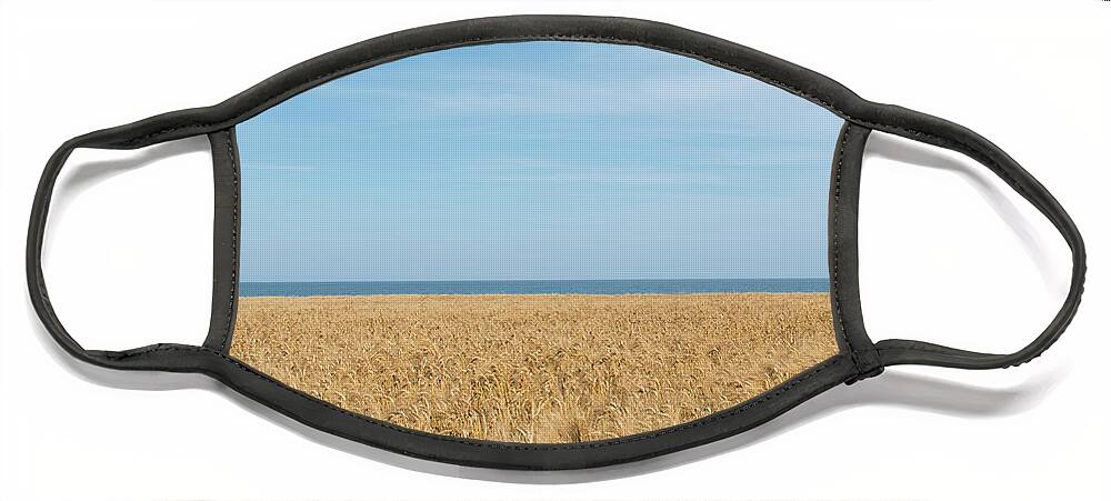 Background Face Mask featuring the photograph Yellow field, sea and blue sky by Michalakis Ppalis
