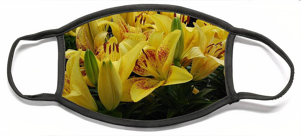 Yellow Lilies Face Mask featuring the photograph Yellow Lilies by Ee Photography