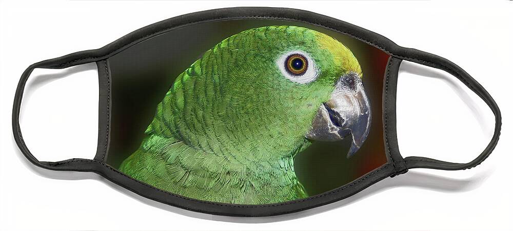 Parrot Face Mask featuring the photograph Yellow Naped Amazon Parrot by Smilin Eyes Treasures