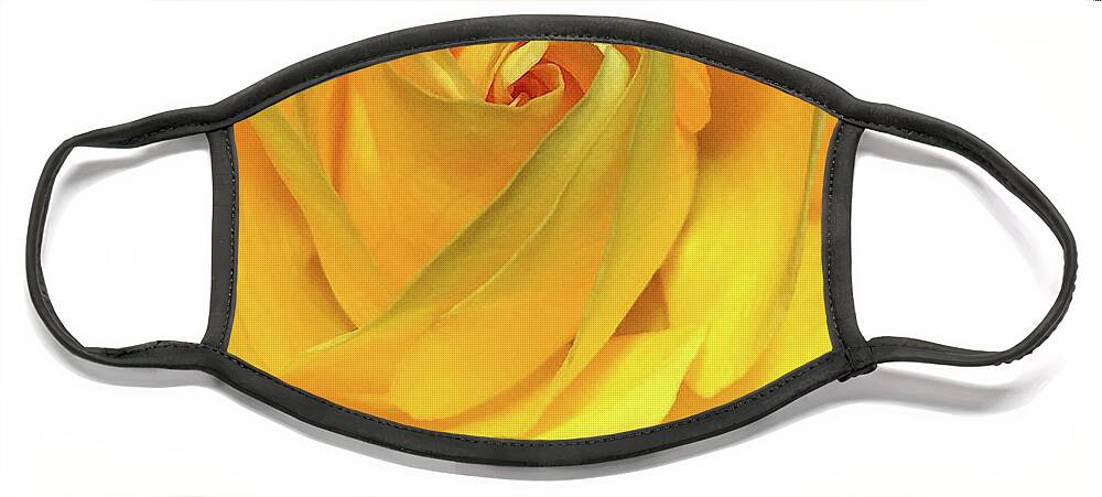 Yellow Face Mask featuring the photograph Yellow Rose by Steph Gabler