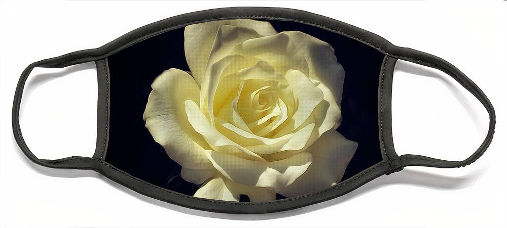 Rose Face Mask featuring the photograph Yellow Rose by Tim Wemple