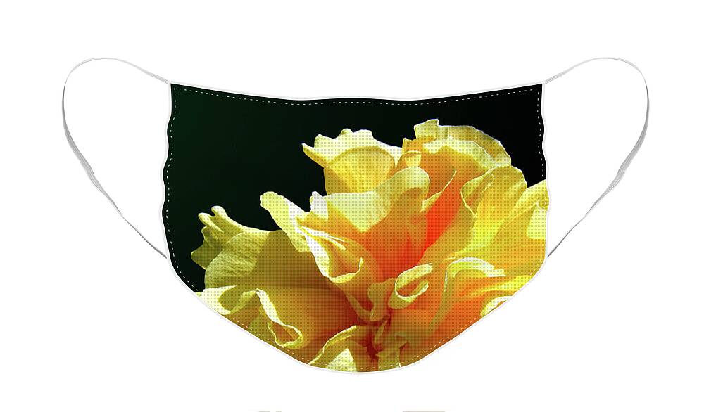 Hibiscus Face Mask featuring the photograph Yellow Ruffle Hibiscus Flower by Adam Johnson