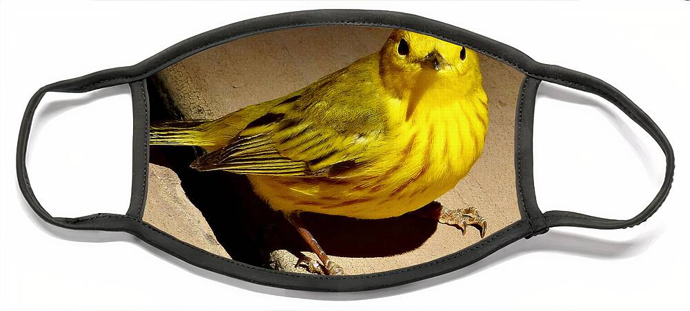 © 2017 Face Mask featuring the photograph Yellow Warbler by Christopher Plummer