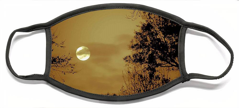 Moon Face Mask featuring the photograph Yesteryears Moon by DigiArt Diaries by Vicky B Fuller