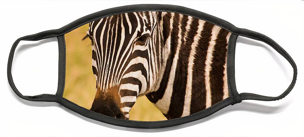 3scape Photos Face Mask featuring the photograph Zebra by Adam Romanowicz