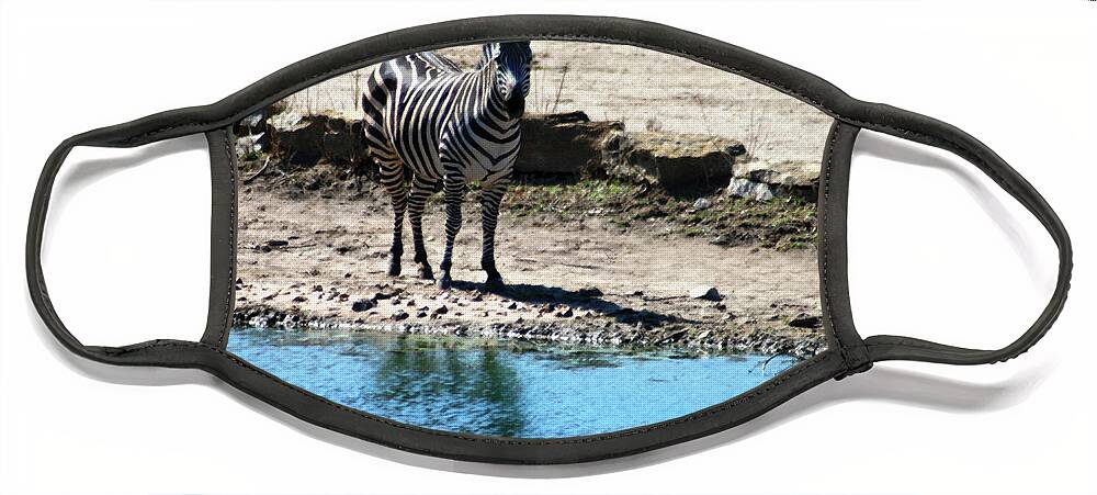 Zebra Face Mask featuring the mixed media Zebra at the watering hole by Steve Karol