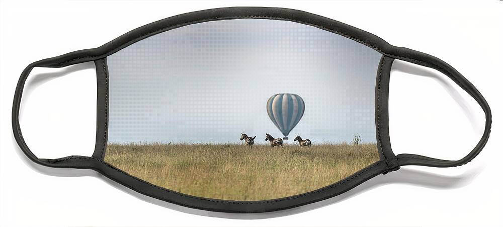 Zebra Face Mask featuring the photograph Zebras and balloon on the horizon in Serengeti by RicardMN Photography