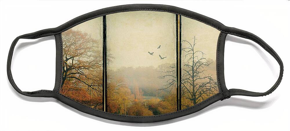 Triptych Face Mask featuring the photograph Autumn by Peggy Dietz
