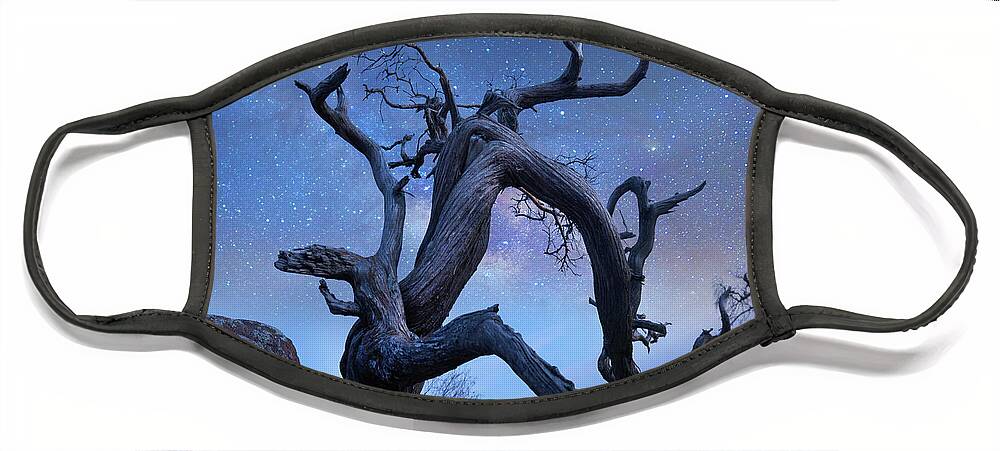 00559648 Face Mask featuring the photograph Pine Tree At Night, Mount Scott, Wichita Mountains Nwr, Oklahoma #1 by Tim Fitzharris