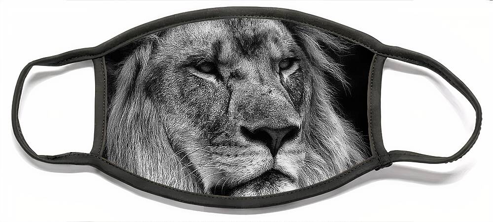 Lion Face Mask featuring the photograph Silver Lion #1 by Chris Boulton