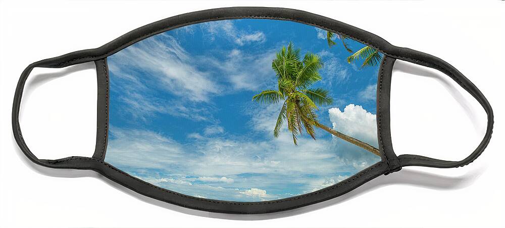00581351 Face Mask featuring the photograph Tropical Beach, Siquijor Island, Philippines #1 by Tim Fitzharris